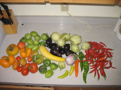 More garden...