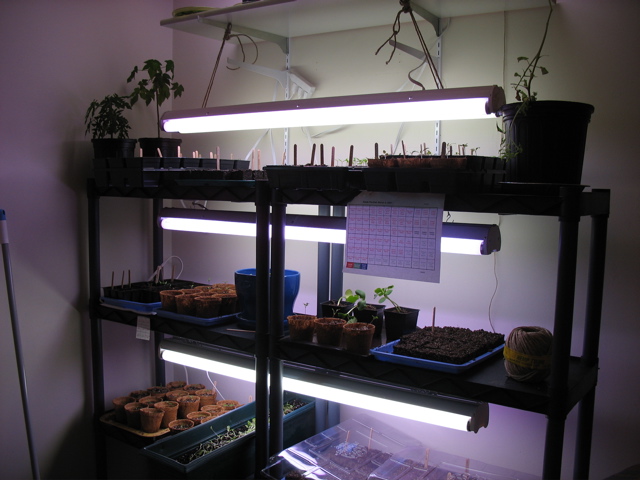 Plant Setup