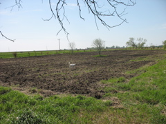 Garden... Plowed